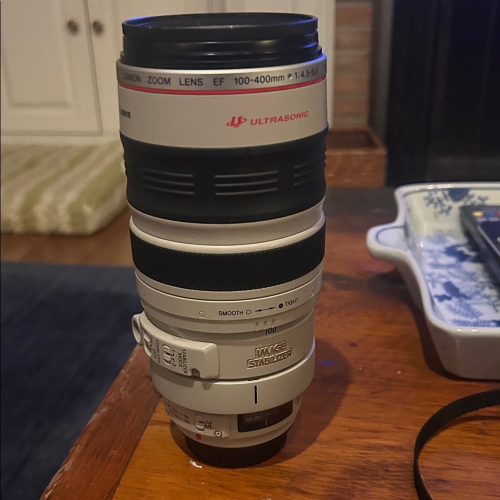 Canon EF 100-400mm 1:4.5 -5.6 L IS Ultrasonic Lens - Black and White